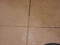 Professional Carpet Cleaning, Upholstery & Air Duct Cleaning, Residential & Commerical West Lake, Avon, Avon Lake, Rocky River Professional Carpet Cleaning, Upholstery & Air Duct Cleaning, Residential & Commerical West Lake, Avon, Avon Lake, Rocky River